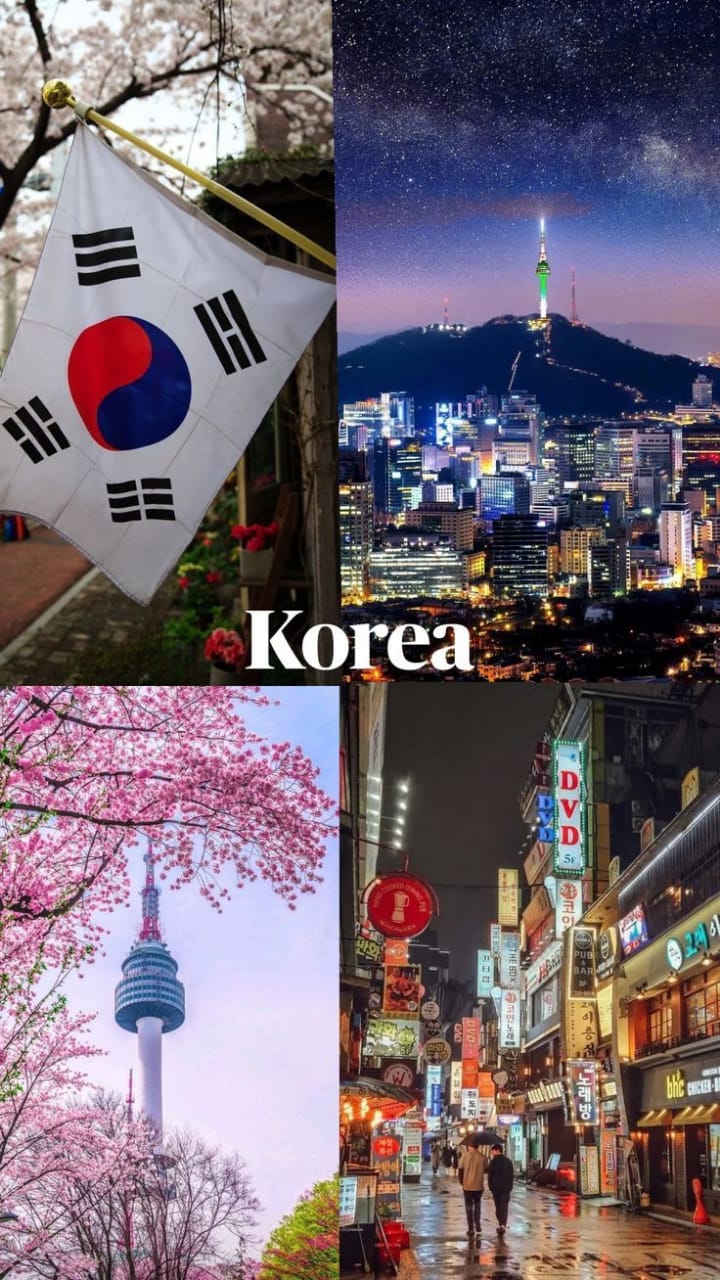 Experience South Korea Like a Local