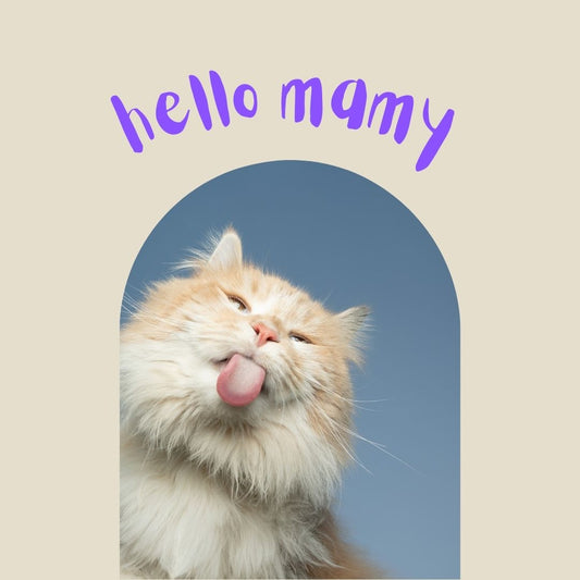 Whiskerlicious: Homemade Meals for Happy Cats